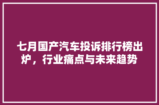 七月国产汽车投诉排行榜出炉，行业痛点与未来趋势