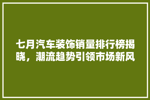 七月汽车装饰销量排行榜揭晓，潮流趋势引领市场新风向