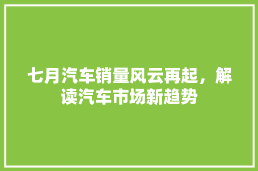 七月汽车销量风云再起，解读汽车市场新趋势