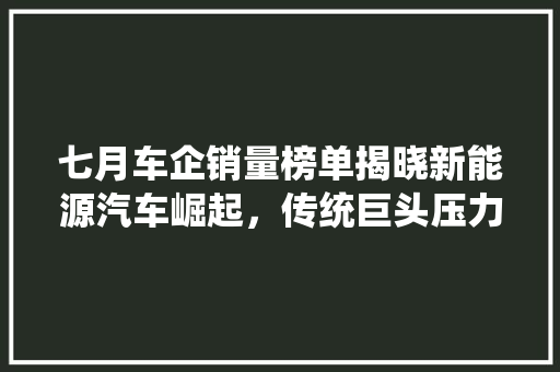 七月车企销量榜单揭晓新能源汽车崛起，传统巨头压力倍增