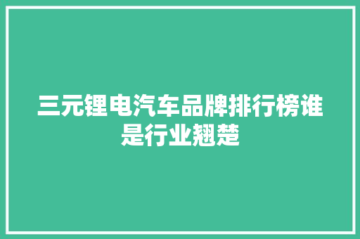 三元锂电汽车品牌排行榜谁是行业翘楚