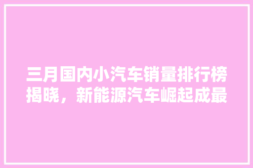三月国内小汽车销量排行榜揭晓，新能源汽车崛起成最大亮点