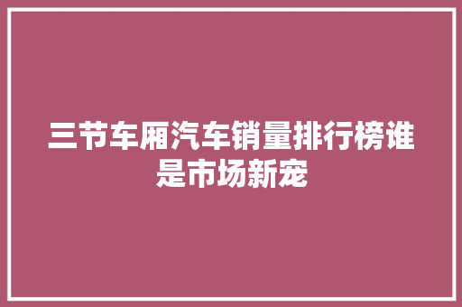 三节车厢汽车销量排行榜谁是市场新宠