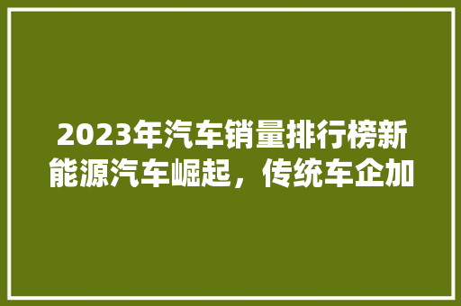 2023年汽车销量排行榜新能源汽车崛起，传统车企加速转型