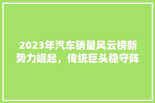 2023年汽车销量风云榜新势力崛起，传统巨头稳守阵地
