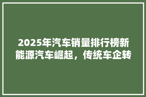 2025年汽车销量排行榜新能源汽车崛起，传统车企转型加速