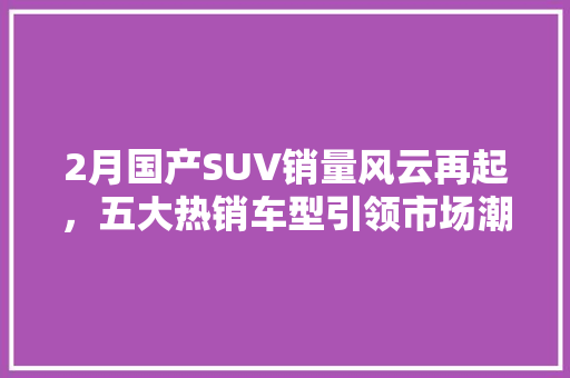 2月国产SUV销量风云再起，五大热销车型引领市场潮流