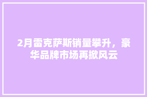 2月雷克萨斯销量攀升，豪华品牌市场再掀风云