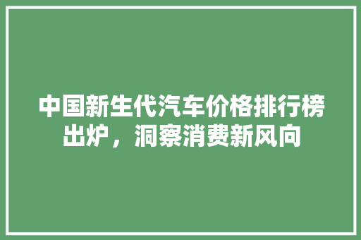 中国新生代汽车价格排行榜出炉，洞察消费新风向