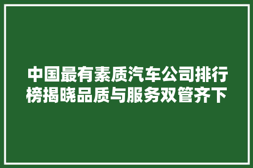 中国最有素质汽车公司排行榜揭晓品质与服务双管齐下，树立行业典范