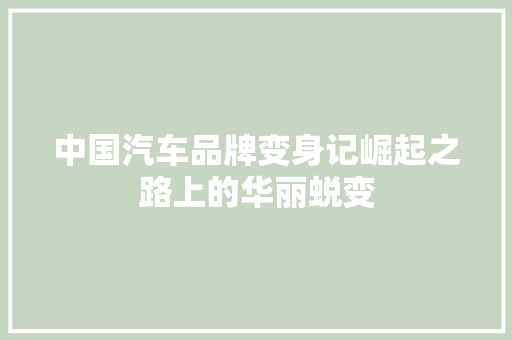 中国汽车品牌变身记崛起之路上的华丽蜕变