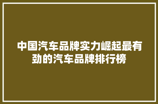 中国汽车品牌实力崛起最有劲的汽车品牌排行榜