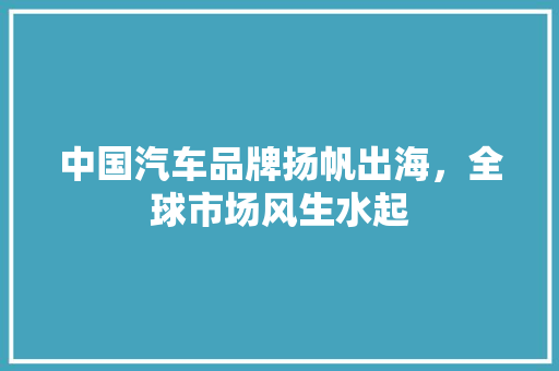 中国汽车品牌扬帆出海，全球市场风生水起