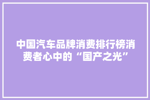 中国汽车品牌消费排行榜消费者心中的“国产之光”