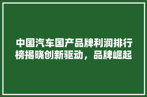 中国汽车国产品牌利润排行榜揭晓创新驱动，品牌崛起