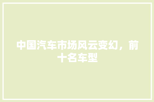 中国汽车市场风云变幻，前十名车型