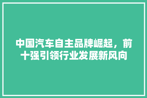 中国汽车自主品牌崛起，前十强引领行业发展新风向