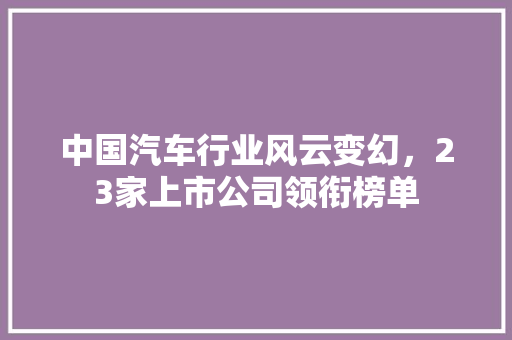 中国汽车行业风云变幻，23家上市公司领衔榜单
