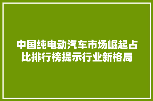 中国纯电动汽车市场崛起占比排行榜提示行业新格局