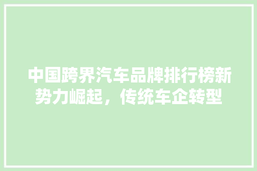 中国跨界汽车品牌排行榜新势力崛起，传统车企转型