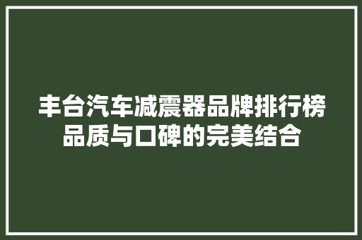 丰台汽车减震器品牌排行榜品质与口碑的完美结合