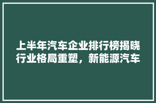 上半年汽车企业排行榜揭晓行业格局重塑，新能源汽车崛起