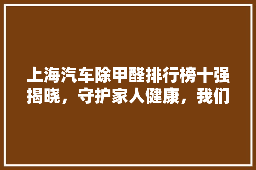 上海汽车除甲醛排行榜十强揭晓，守护家人健康，我们一直在行动