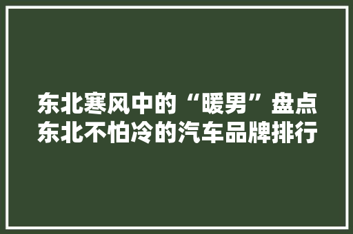 东北寒风中的“暖男”盘点东北不怕冷的汽车品牌排行榜