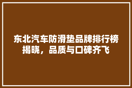 东北汽车防滑垫品牌排行榜揭晓，品质与口碑齐飞