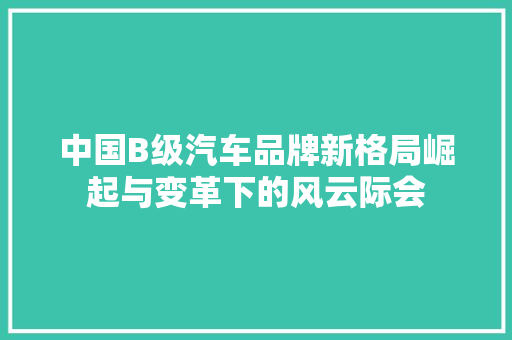 中国B级汽车品牌新格局崛起与变革下的风云际会