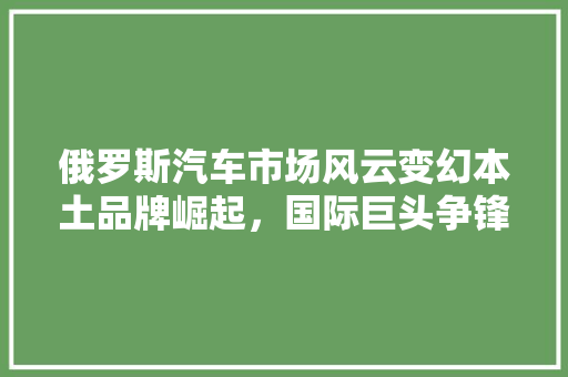 俄罗斯汽车市场风云变幻本土品牌崛起，国际巨头争锋