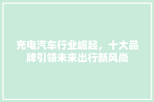 充电汽车行业崛起，十大品牌引领未来出行新风尚