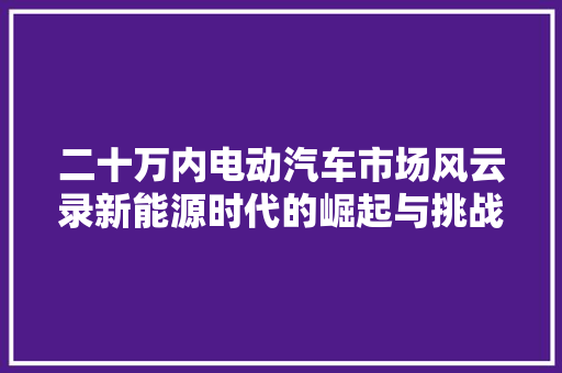 二十万内电动汽车市场风云录新能源时代的崛起与挑战