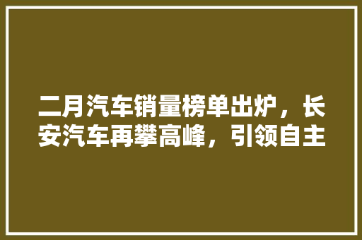 二月汽车销量榜单出炉，长安汽车再攀高峰，引领自主车品牌新篇章