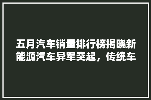 五月汽车销量排行榜揭晓新能源汽车异军突起，传统车企面临挑战