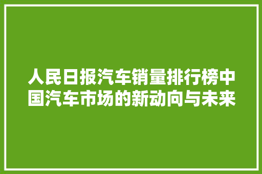 人民日报汽车销量排行榜中国汽车市场的新动向与未来展望