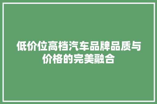 低价位高档汽车品牌品质与价格的完美融合
