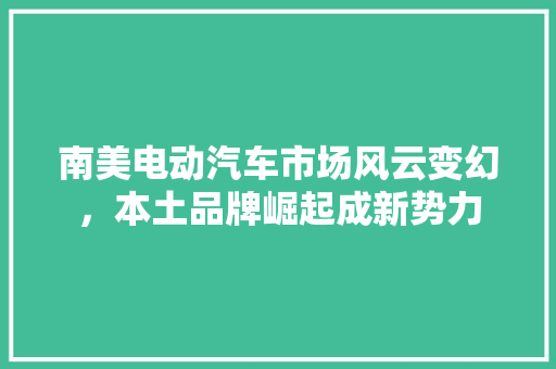 南美电动汽车市场风云变幻，本土品牌崛起成新势力