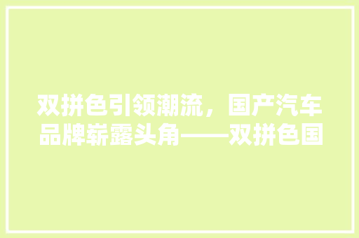 双拼色引领潮流，国产汽车品牌崭露头角——双拼色国产汽车品牌排行榜