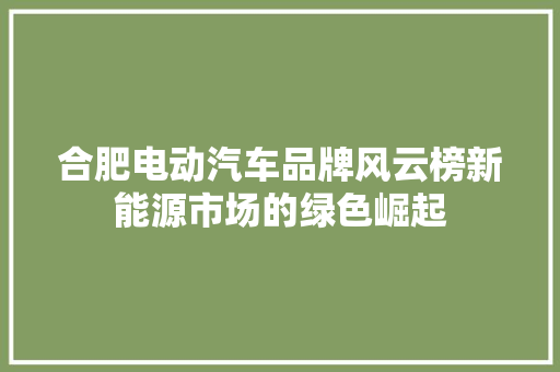合肥电动汽车品牌风云榜新能源市场的绿色崛起