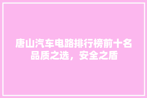 唐山汽车电路排行榜前十名品质之选，安全之盾