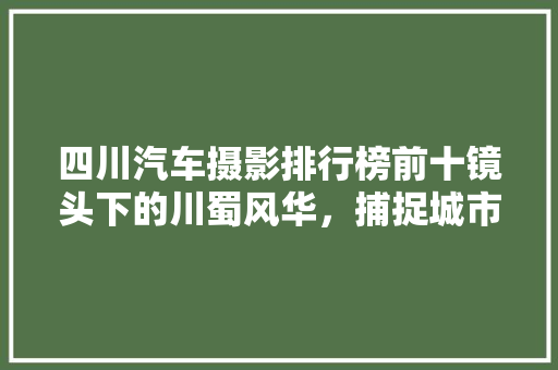 四川汽车摄影排行榜前十镜头下的川蜀风华，捕捉城市脉动