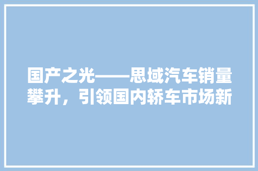 国产之光——思域汽车销量攀升，引领国内轿车市场新潮流