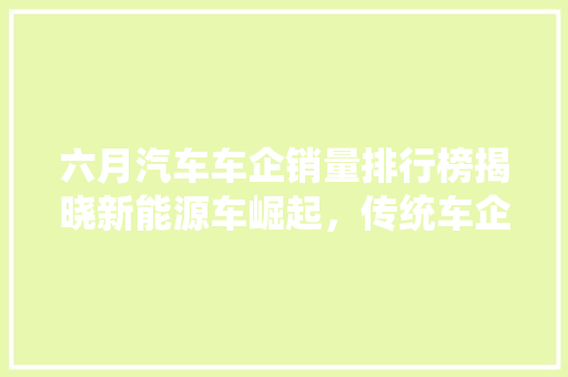 六月汽车车企销量排行榜揭晓新能源车崛起，传统车企面临挑战