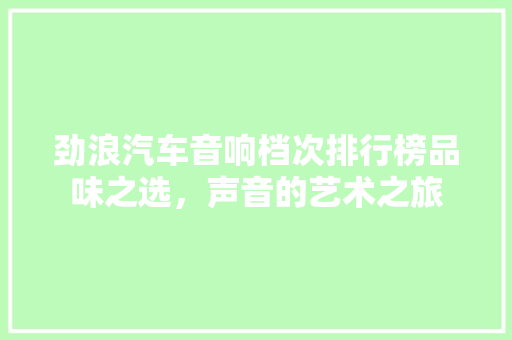 劲浪汽车音响档次排行榜品味之选，声音的艺术之旅