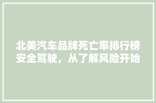北美汽车品牌死亡率排行榜安全驾驶，从了解风险开始