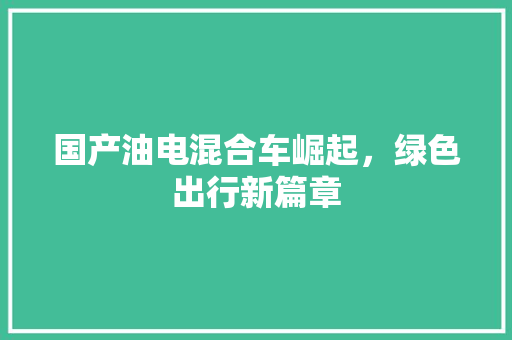 国产油电混合车崛起，绿色出行新篇章