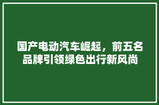 国产电动汽车崛起，前五名品牌引领绿色出行新风尚