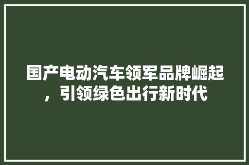 国产电动汽车领军品牌崛起，引领绿色出行新时代