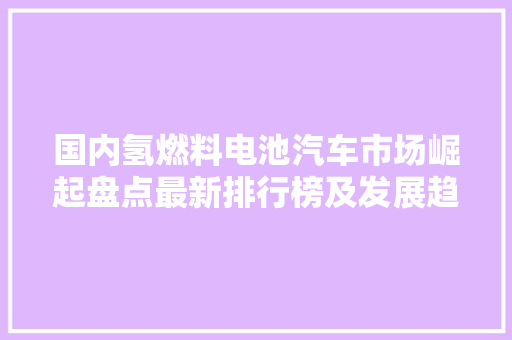 国内氢燃料电池汽车市场崛起盘点最新排行榜及发展趋势